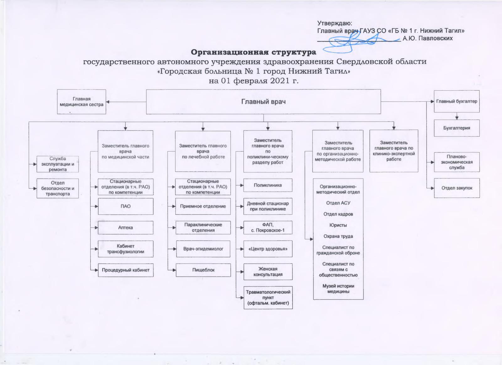 Реферат: Организационная структура медицинского учреждения